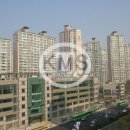 신천공인중개사사무소 이미지