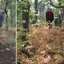 시루봉 급경사길 이미지