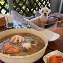 태안 애견동반 칼국수맛집 '낙지한마리칼국수' 내돈내산 후기