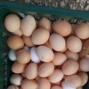 중수농장 이미지