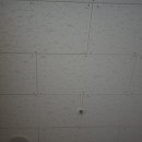 봄요양병원 이미지