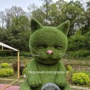 은마로동물병원 | 카페포레스트