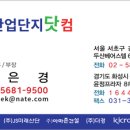 빙빙닷컴