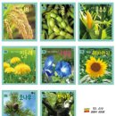 블루유치원 이미지