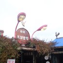 씨유 강화서문점 | 서울근교 강화 가볼만한 곳 빈티지 카페 추천 FUJIX100VI 강화 조양방직