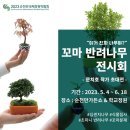 나무기획