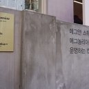 메그놀리아크리에이티브랩