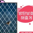 램브랜드