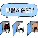 래빗온더문 이미지