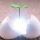 경산화인간호학원 이미지