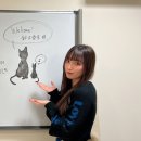 뮤직게스트 이미지