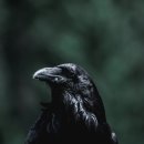 행복이열린약국 이미지