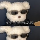 용산-현장-1555 | [결혼일기] ep. 9 서울(광화문) 상견례 식당 리스트 정리, 서울리에 / 규반 / 서울로인 / 고우가