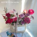 (주)델디아 이미지