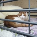 디비독 | [Oct 2025] 지나고 보니 꽤 많은 것을 했다