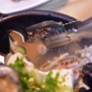 삼척해물 이미지