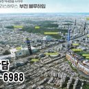 블루하임 이미지