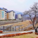 석문동천제방 네이버블로그