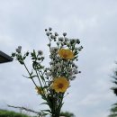 화원농장 이미지