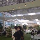 미라벨 | 부산 센텀 그랜드블랑 축의대 업체 후기 (미라벨 가든) ｜ 매리위드미 (26.04.19)