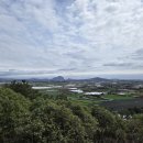 제주도예촌 | [무작정 도보 제주한바퀴] 한국인의 '정'을 느끼다. (제주도예촌&amp;보말과풍경)