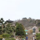 목포 유달산 봄꽃 축제(1) 이미지