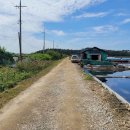 동주로(동주길) 이미지