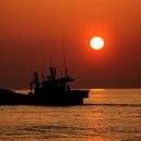 바다에 누워 이미지