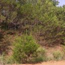 법전면사무소 이미지