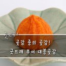 부여대봉곶감 이미지