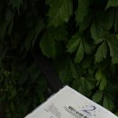 헤이데이의원 이미지