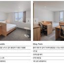 제주 가성비 좋은 워케이션 숙소 맹그로브 제주시티(1+1혜택 종료)