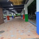 신풍초교 이미지