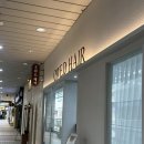 일산 장항동 미용실 오위드헤어 레이어드컷 후기