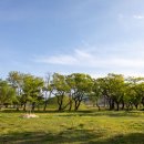 진평왕릉 화장실 이미지