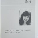 돌섬