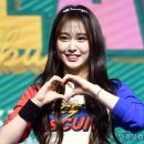 포토조아 이미지