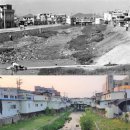 대수약국 이미지