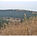 성읍리-22 이미지