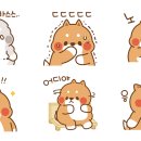 스윗하개 이미지