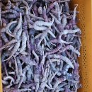 ﻿더덕효능 #귀하디귀한 홍더덕 이미지