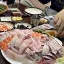 [가락시장] 온달수산 / 겨울방어 제대로 가보자고🔥 손수제비 주는 초장집 추천은 덤