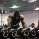 가스프(GASP) 이미지