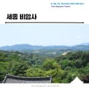 느티나무 할아버지 | 세종 비암사 900년 느티나무 와 기분좋은 풍경