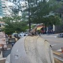 성심프라자약국 이미지