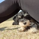 루스켄넬 이미지