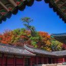 창성자동문 | 서울 창덕궁의 왕실의 유산, 건축학적 경이로움, 방문객 가이드