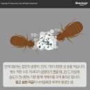 이엠시스템 이미지