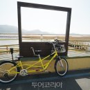 강진만 생태공원 이미지