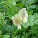 대전남부감리교회 개방화장실 | 발칸 여행기 - 제 5 일, 불가리아